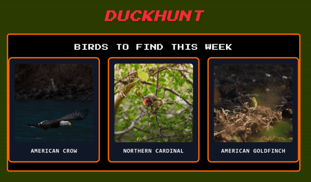 DuckHunt Hackathon Project Page